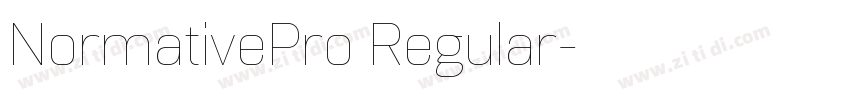 NormativePro Regular字体转换